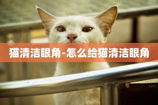 貓清潔眼角-怎么給貓清潔眼角