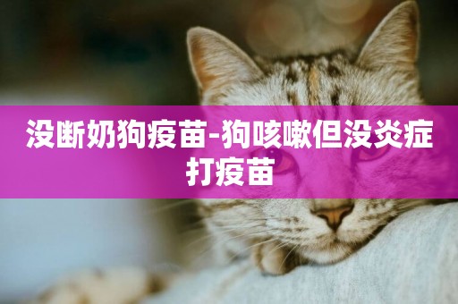 沒斷奶狗疫苗-狗咳嗽但沒炎癥打疫苗