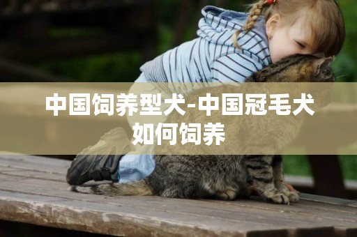 中國飼養型犬-中國冠毛犬如何飼養
