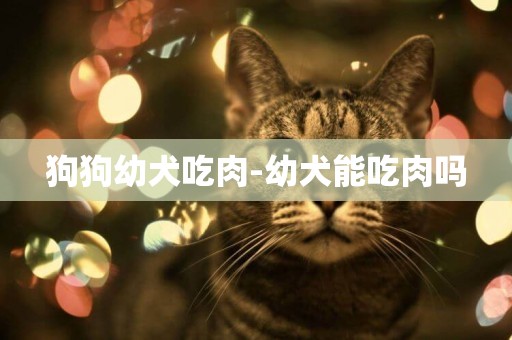 狗狗幼犬吃肉-幼犬能吃肉嗎