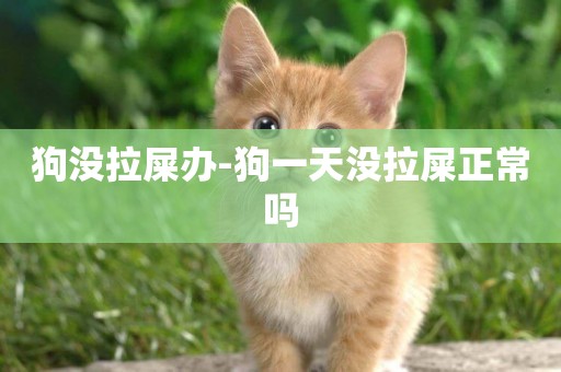狗沒拉屎辦-狗一天沒拉屎正常嗎