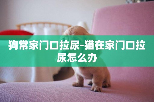 狗常家門口拉尿-貓在家門口拉尿怎么辦
