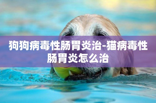狗狗病毒性腸胃炎治-貓病毒性腸胃炎怎么治