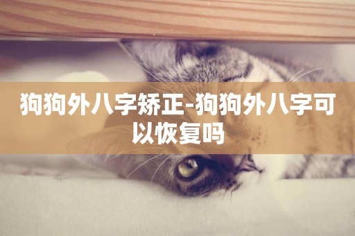狗狗外八字矯正-狗狗外八字可以恢復嗎