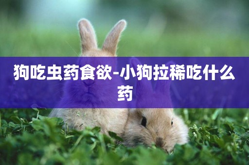 狗吃蟲藥食欲-小狗拉稀吃什么藥
