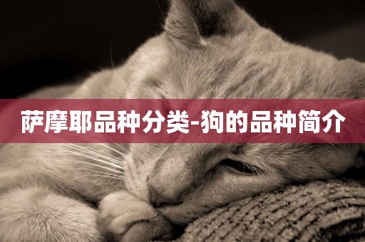 薩摩耶品種分類-狗的品種簡介