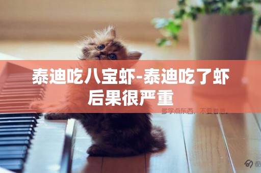 泰迪吃八寶蝦-泰迪吃了蝦后果很嚴重
