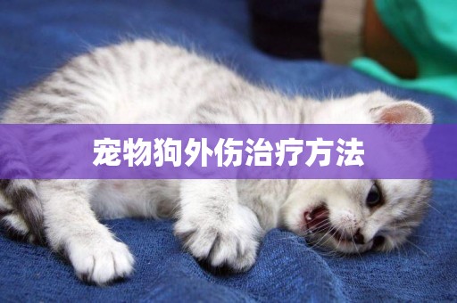 寵物狗外傷治療方法