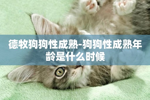 德牧狗狗性成熟-狗狗性成熟年齡是什么時候