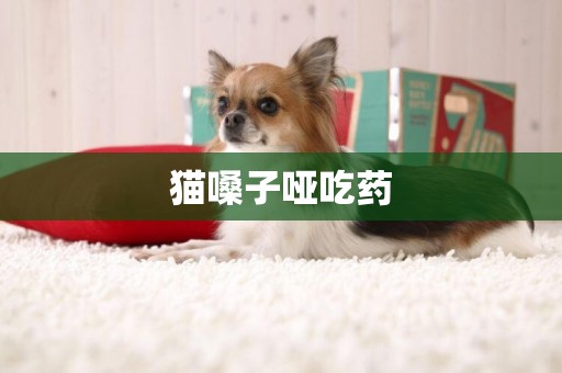 貓嗓子啞吃藥