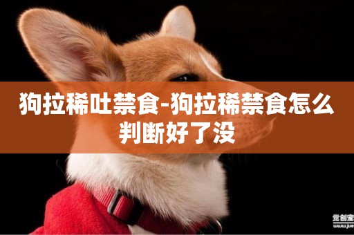 狗拉稀吐禁食-狗拉稀禁食怎么判斷好了沒