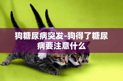 狗糖尿病突發-狗得了糖尿病要注意什么