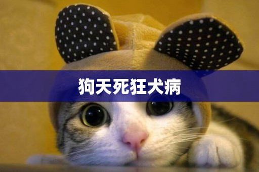 狗天死狂犬病