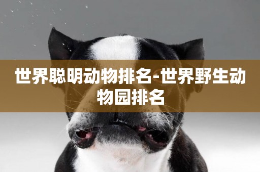世界聰明動物排名-世界野生動物園排名