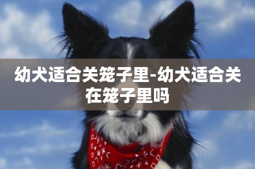 幼犬適合關籠子里-幼犬適合關在籠子里嗎