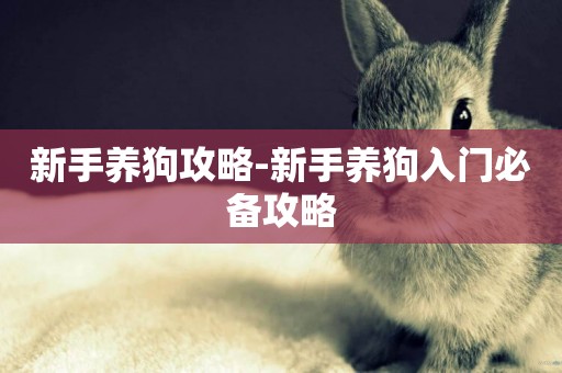 新手養狗攻略-新手養狗入門必備攻略