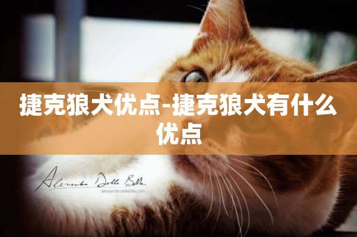捷克狼犬優點-捷克狼犬有什么優點