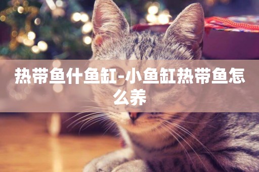 熱帶魚什魚缸-小魚缸熱帶魚怎么養