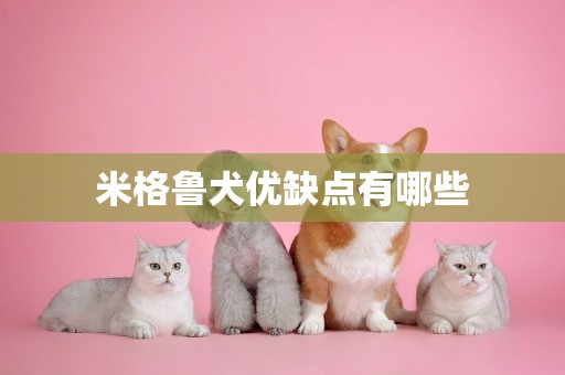 米格魯犬優缺點有哪些