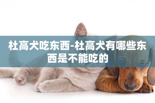 杜高犬吃東西-杜高犬有哪些東西是不能吃的