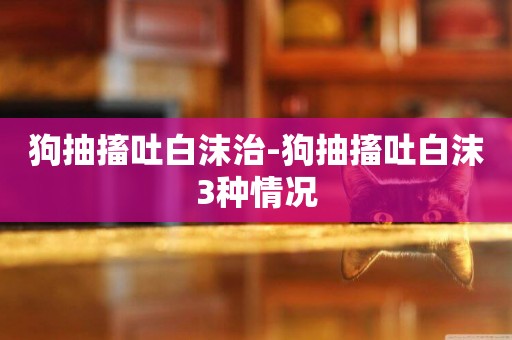 狗抽搐吐白沫治-狗抽搐吐白沫3種情況