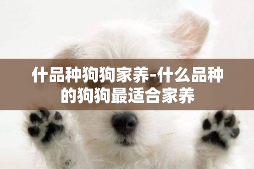 什品種狗狗家養-什么品種的狗狗最適合家養