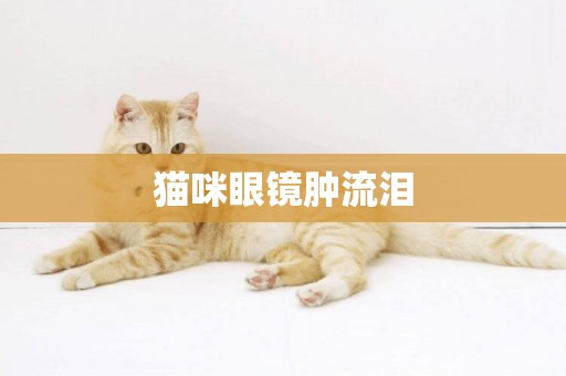 貓咪眼鏡腫流淚