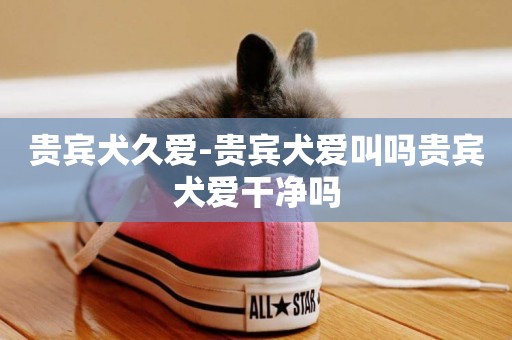 貴賓犬久愛-貴賓犬愛叫嗎貴賓犬愛干凈嗎