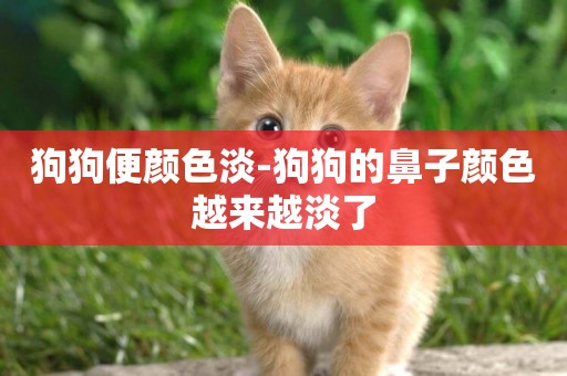 狗狗便顏色淡-狗狗的鼻子顏色越來越淡了