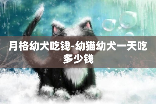 月格幼犬吃錢-幼貓幼犬一天吃多少錢