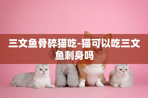 三文魚骨碎貓吃-貓可以吃三文魚刺身嗎