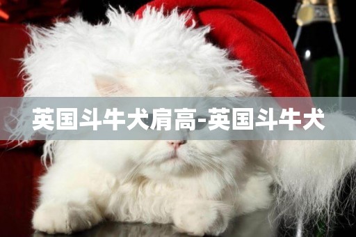 英國斗牛犬肩高-英國斗牛犬
