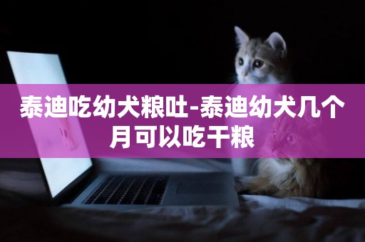 泰迪吃幼犬糧吐-泰迪幼犬幾個月可以吃干糧