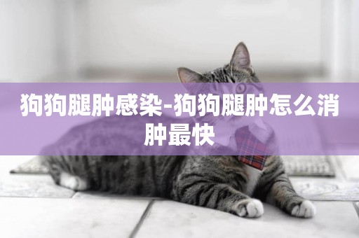 狗狗腿腫感染-狗狗腿腫怎么消腫最快