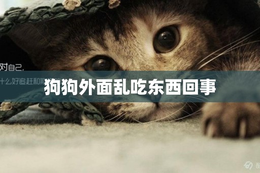 狗狗外面亂吃東西回事