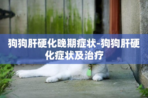 狗狗肝硬化晚期癥狀-狗狗肝硬化癥狀及治療