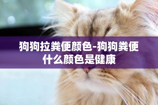 狗狗拉糞便顏色-狗狗糞便什么顏色是健康