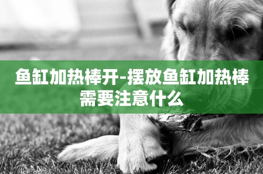 魚缸加熱棒開-擺放魚缸加熱棒需要注意什么