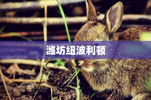 濰坊紐波利頓