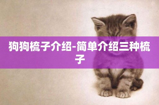 狗狗梳子介紹-簡單介紹三種梳子