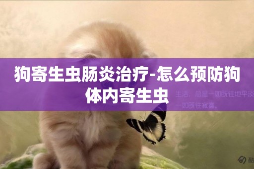 狗寄生蟲腸炎治療-怎么預防狗體內寄生蟲