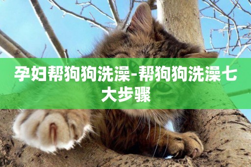 孕婦幫狗狗洗澡-幫狗狗洗澡七大步驟