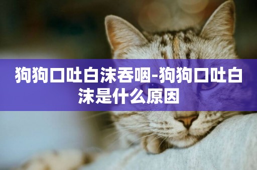狗狗口吐白沫吞咽-狗狗口吐白沫是什么原因