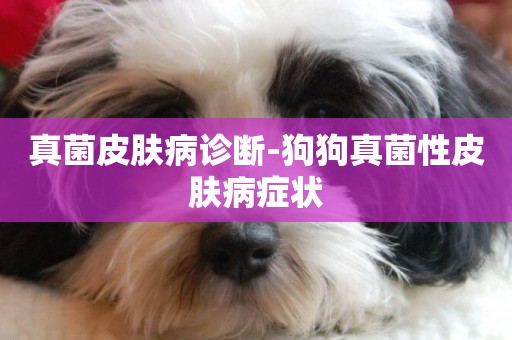 真菌皮膚病診斷-狗狗真菌性皮膚病癥狀