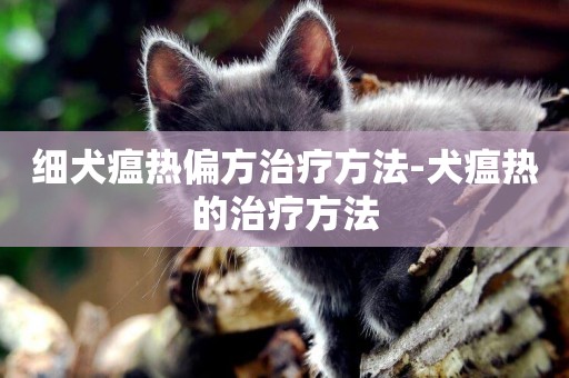 細犬瘟熱偏方治療方法-犬瘟熱的治療方法