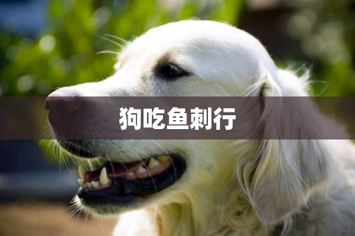 狗吃魚刺行