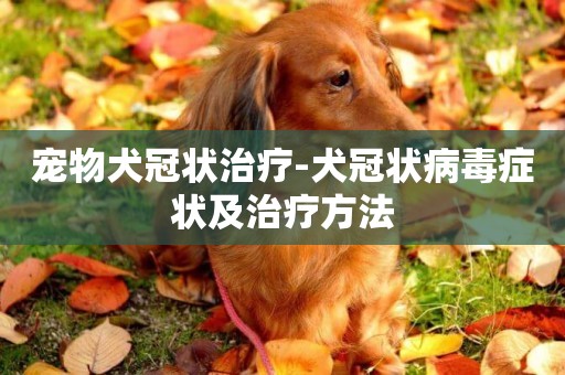 寵物犬冠狀治療-犬冠狀病毒癥狀及治療方法