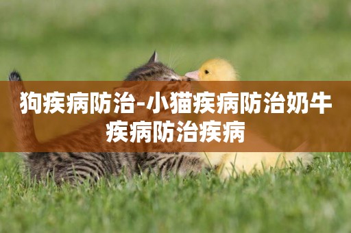 狗疾病防治-小貓疾病防治奶牛疾病防治疾病