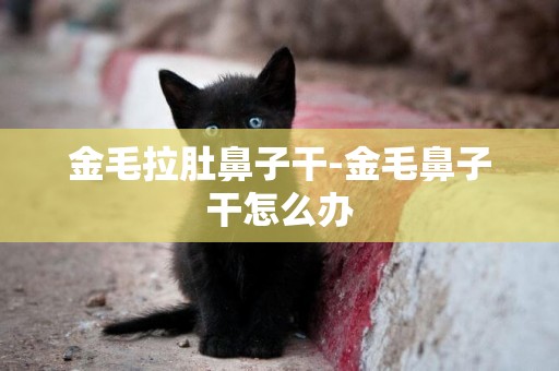 金毛拉肚鼻子干-金毛鼻子干怎么辦