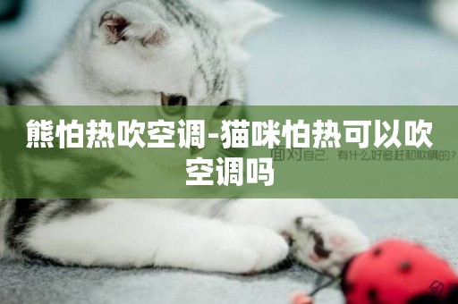 熊怕熱吹空調-貓咪怕熱可以吹空調嗎